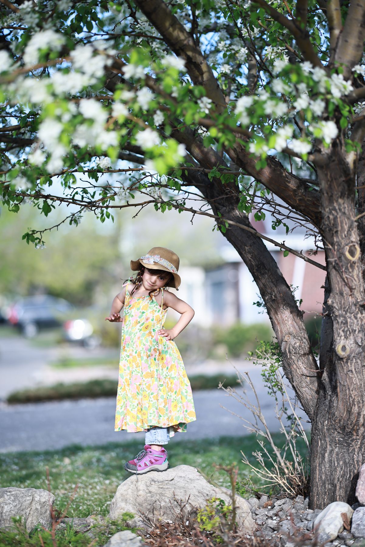 Edmonton family photography portrait 086