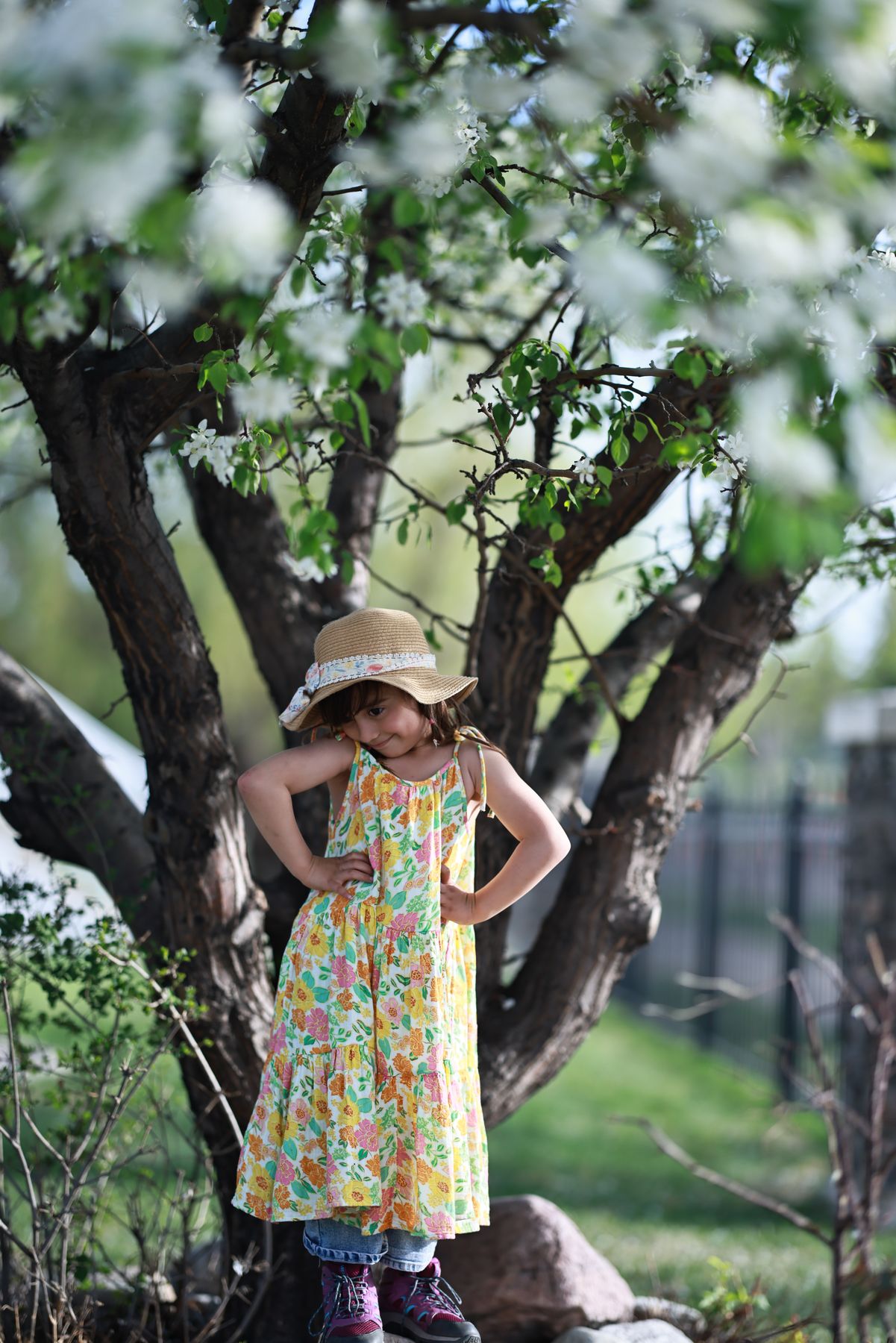 Edmonton family photography portrait 087