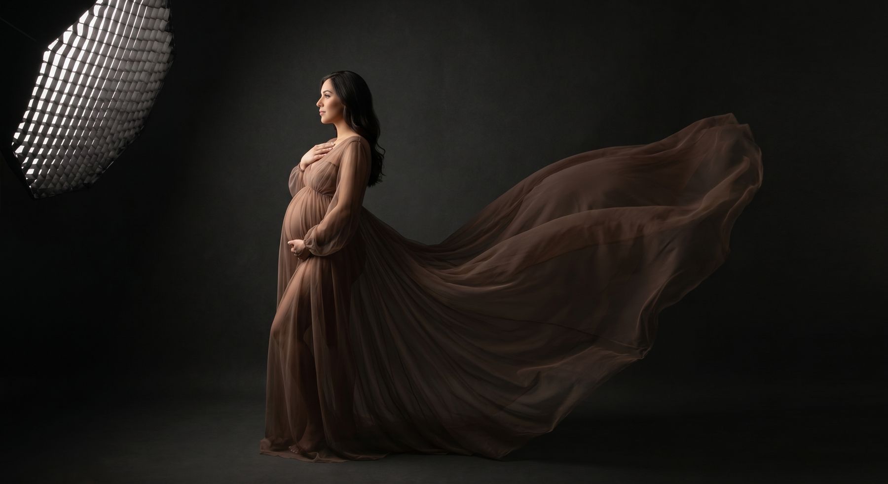 Edmonton maternity photography portrait 021