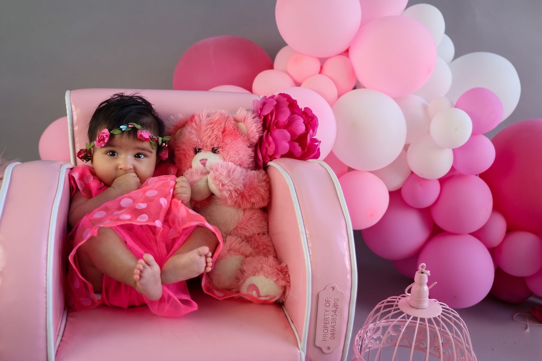 Edmonton newborn photography portrait 017