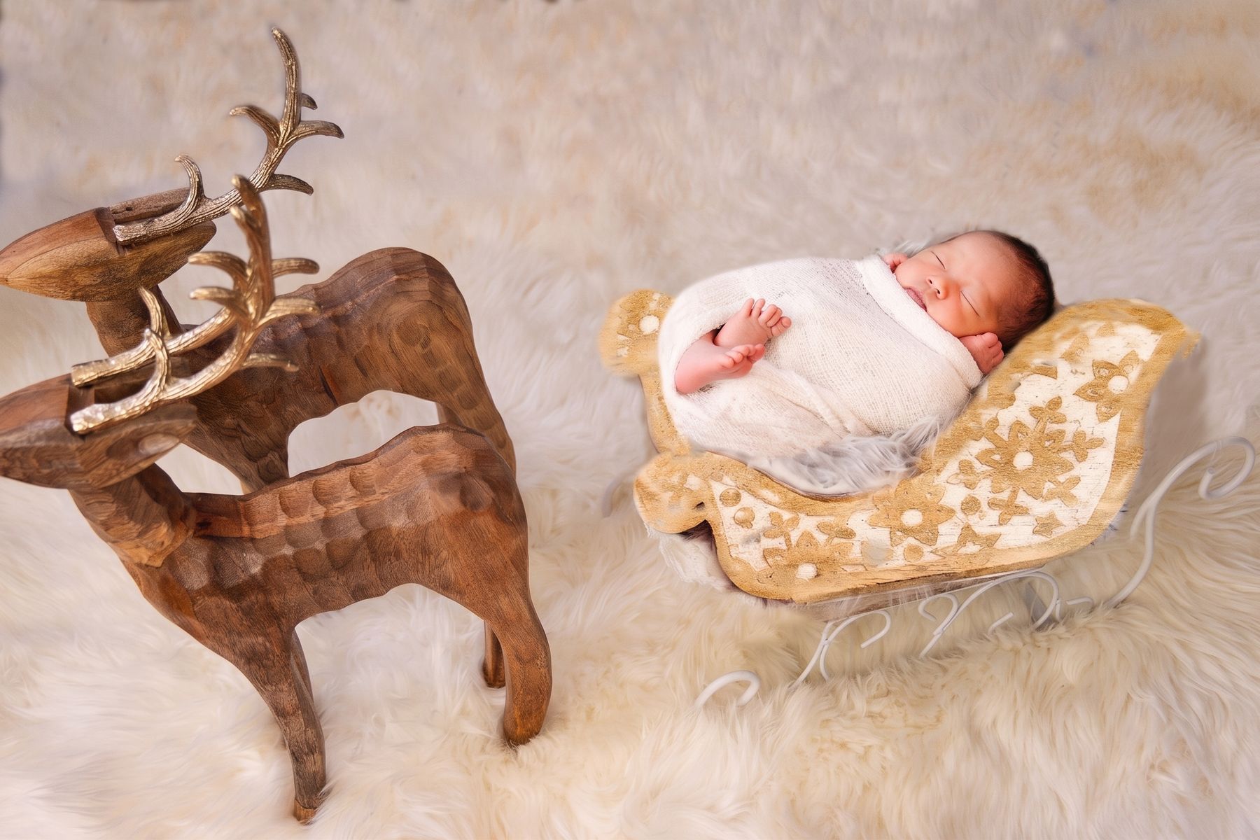 Edmonton newborn photography portrait 046
