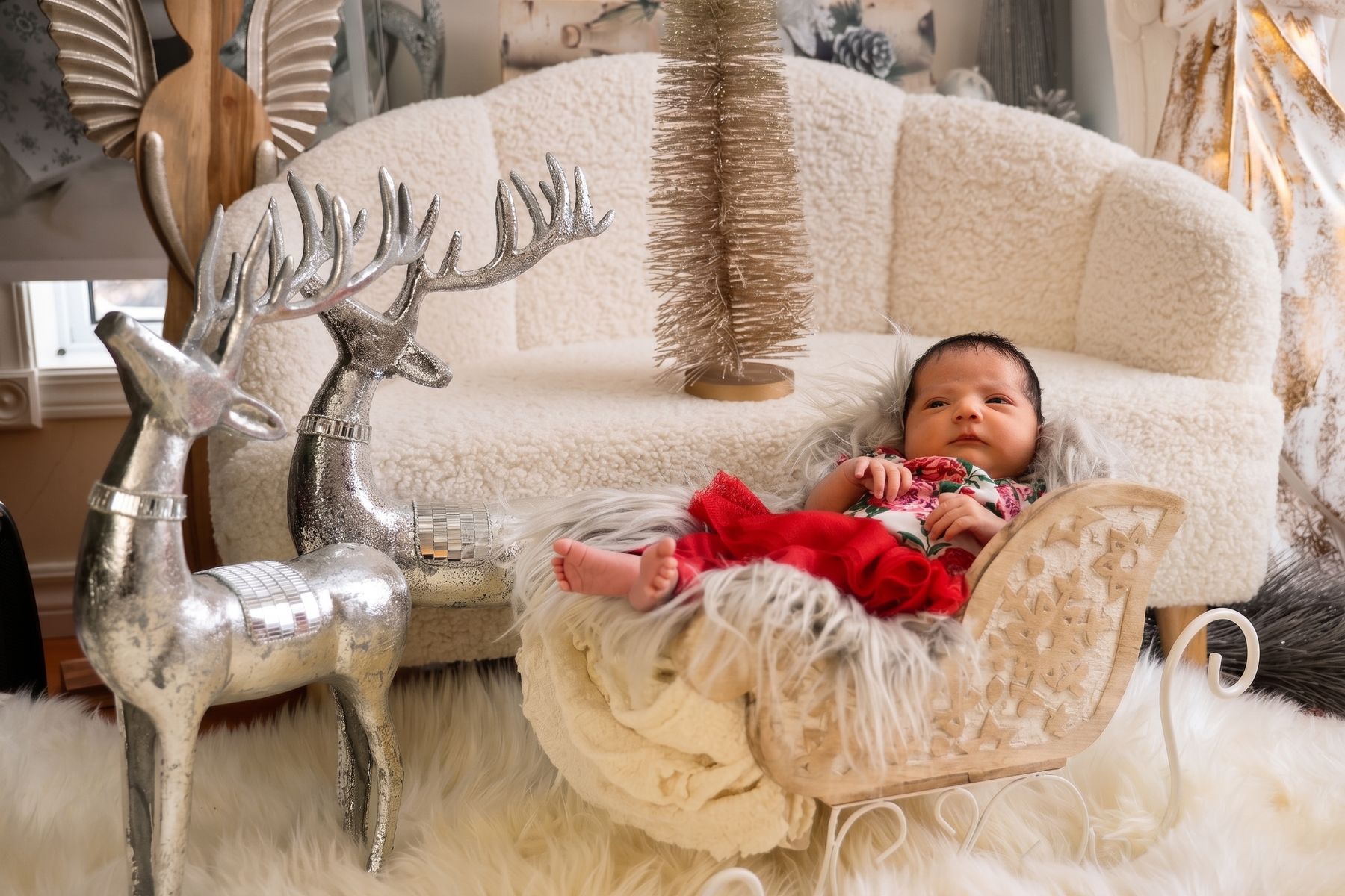 Edmonton newborn photography portrait 060